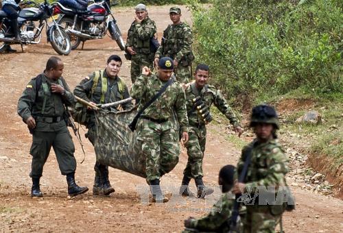 Xung đột tái diễn giữa FARC và quân đội Colombia ảnh 1